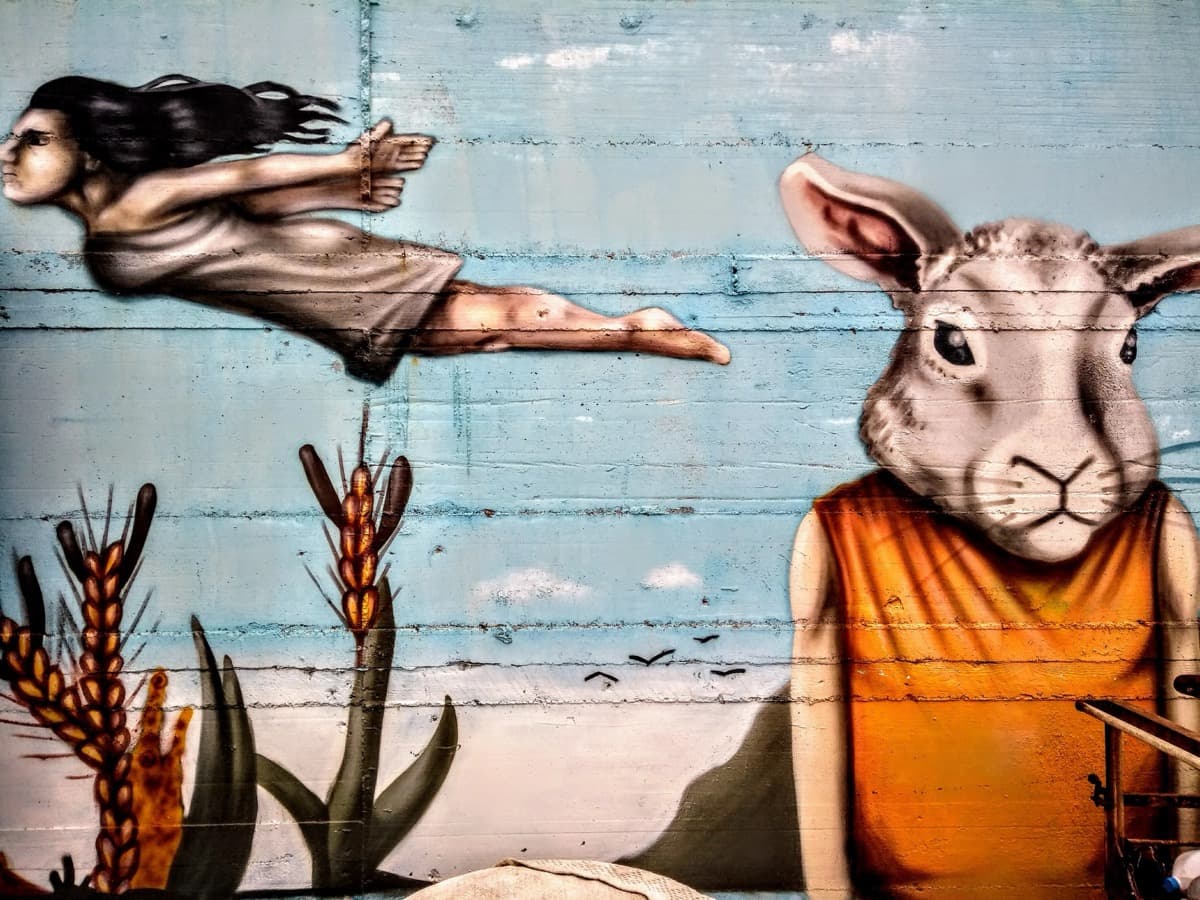 Il pane che fece allucinare un'intera isola