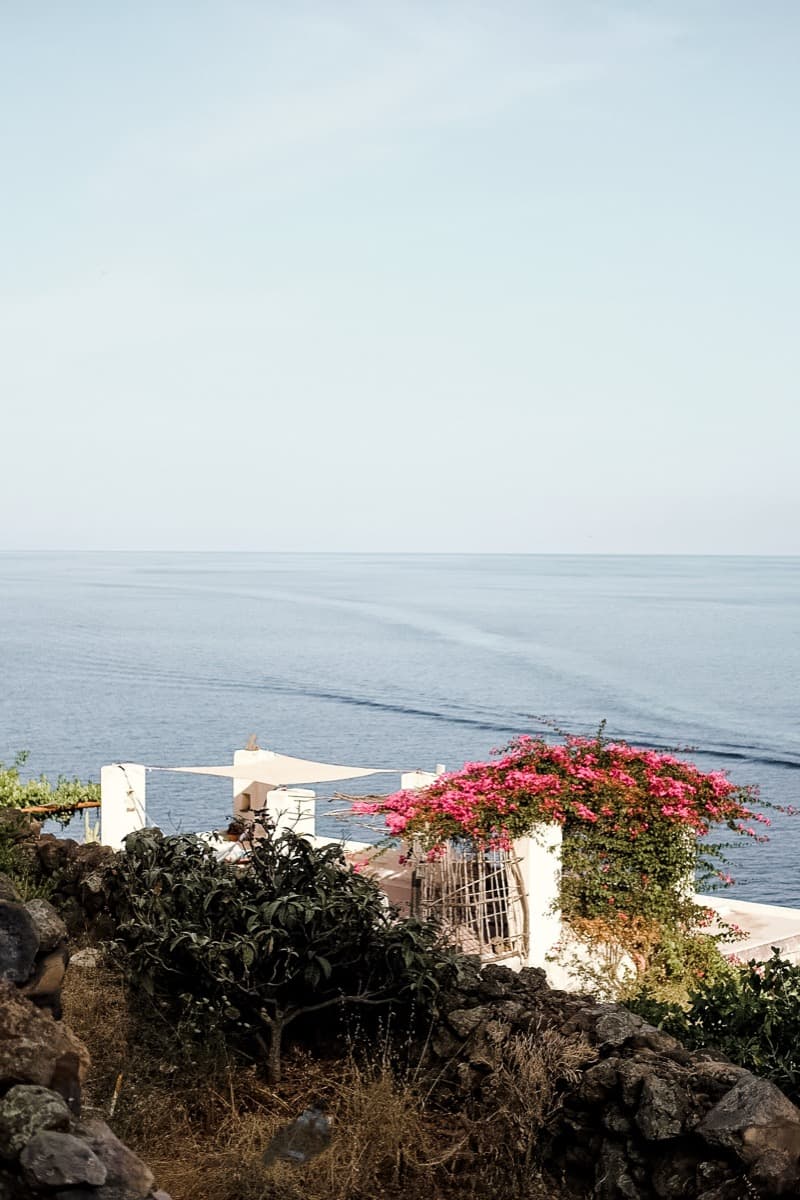 I tetti e le bouganville