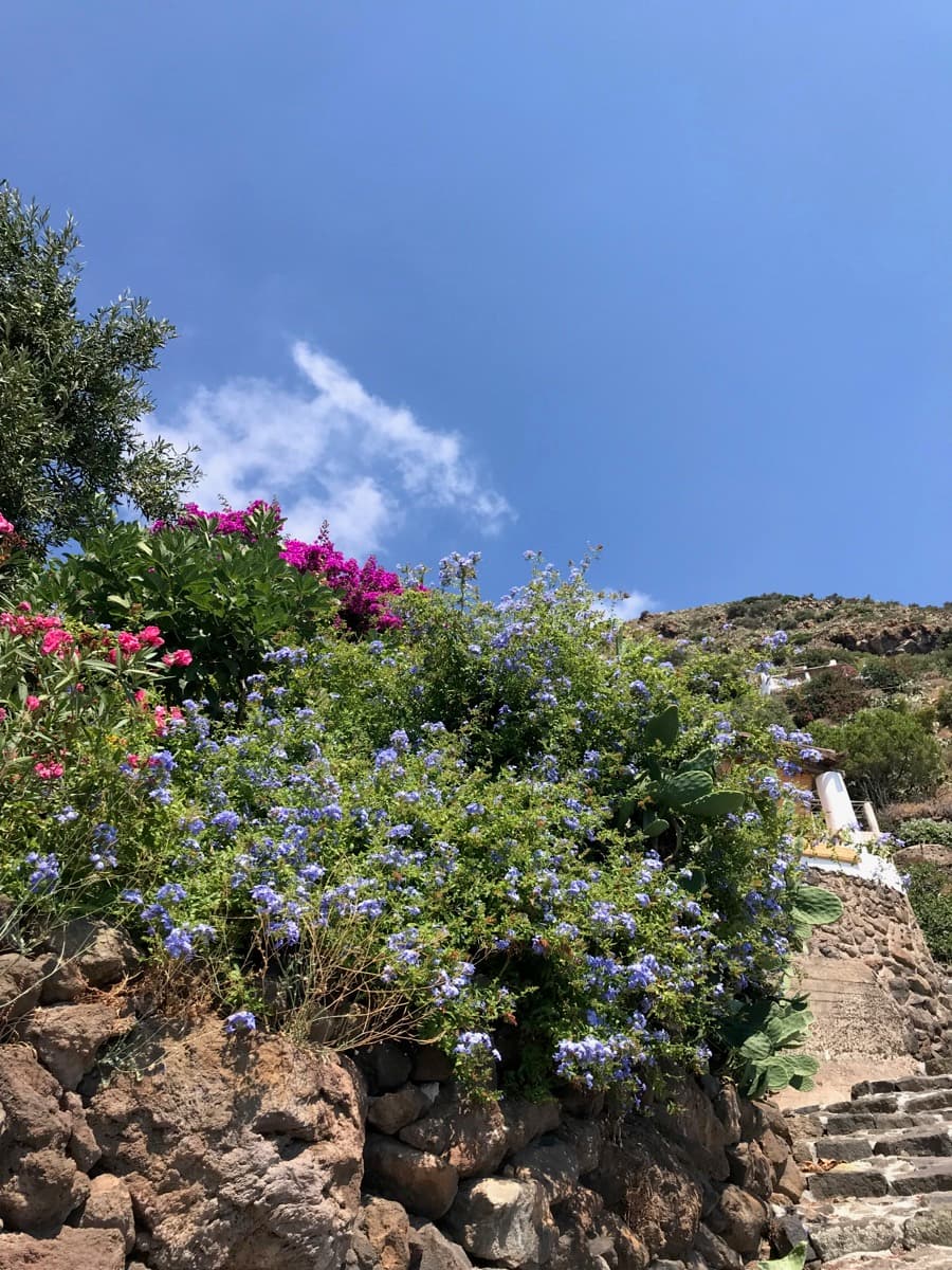 I gradini che conducono alla casa