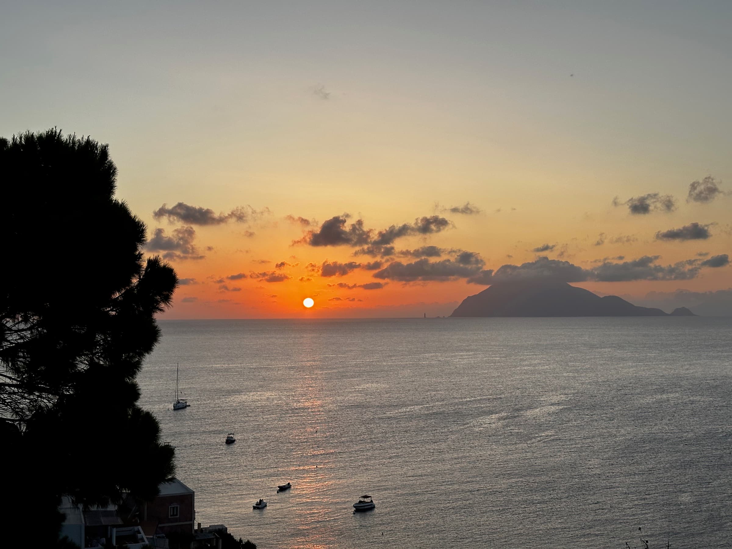 Pin penché sur la mer dorée d'Alicudi à contre-jour